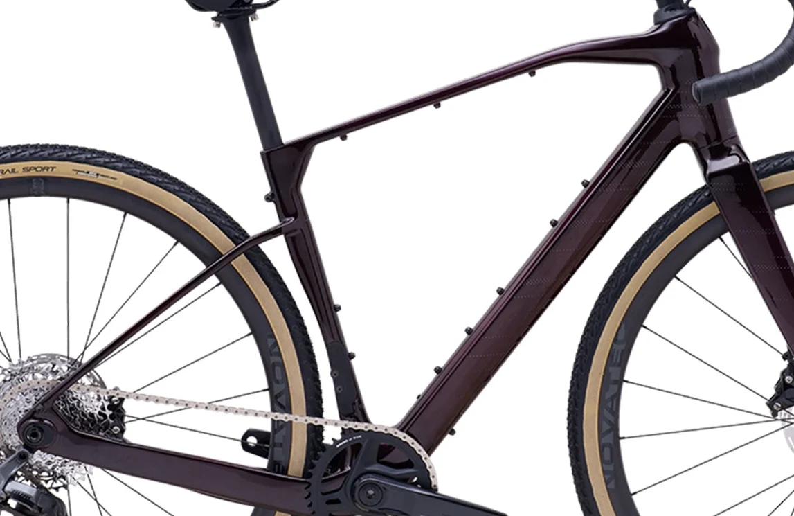 2024 Polygon Tambora G8x - Frameset - Image 2