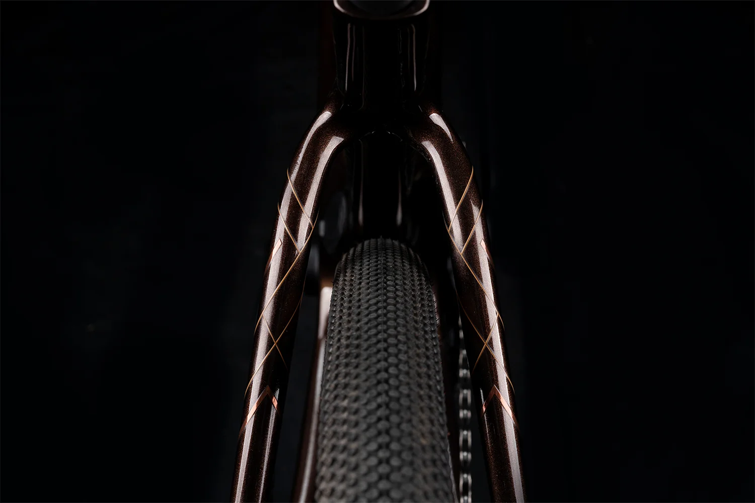 Polygon Tambora AE-N - Carbon Gravel eBike - Image 16
