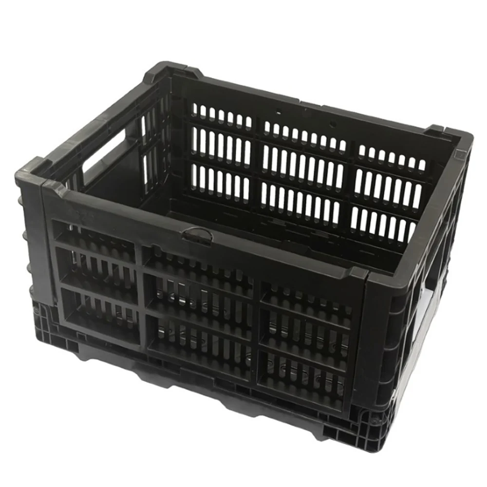Azur Cargo Basket