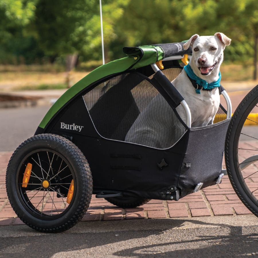 BURLEY TAIL WAGON - PET TRAILER - Image 6