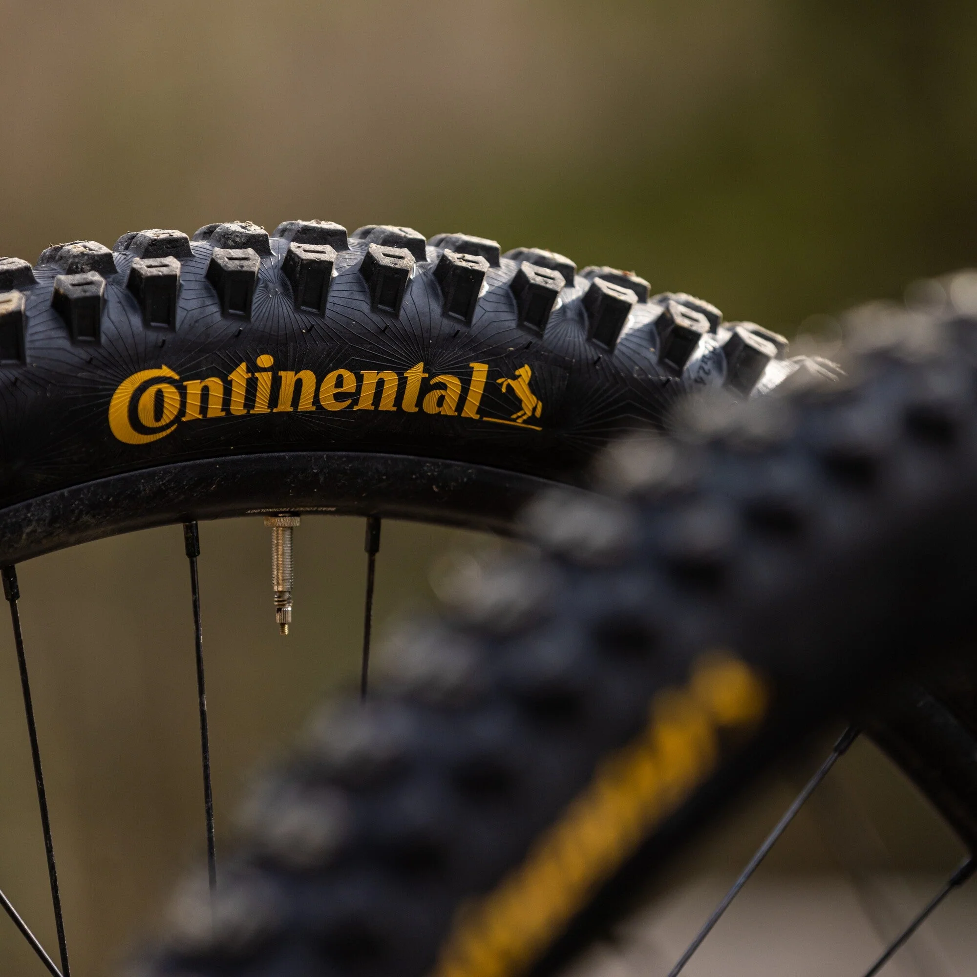 Continental Kryptotal Front - MTB Tyre - Image 7