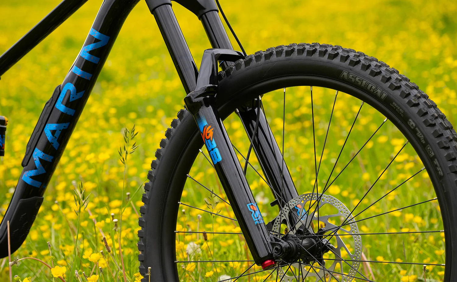 Marin Alpine Trail 1 - Enduro Mountain Bike - Image 15