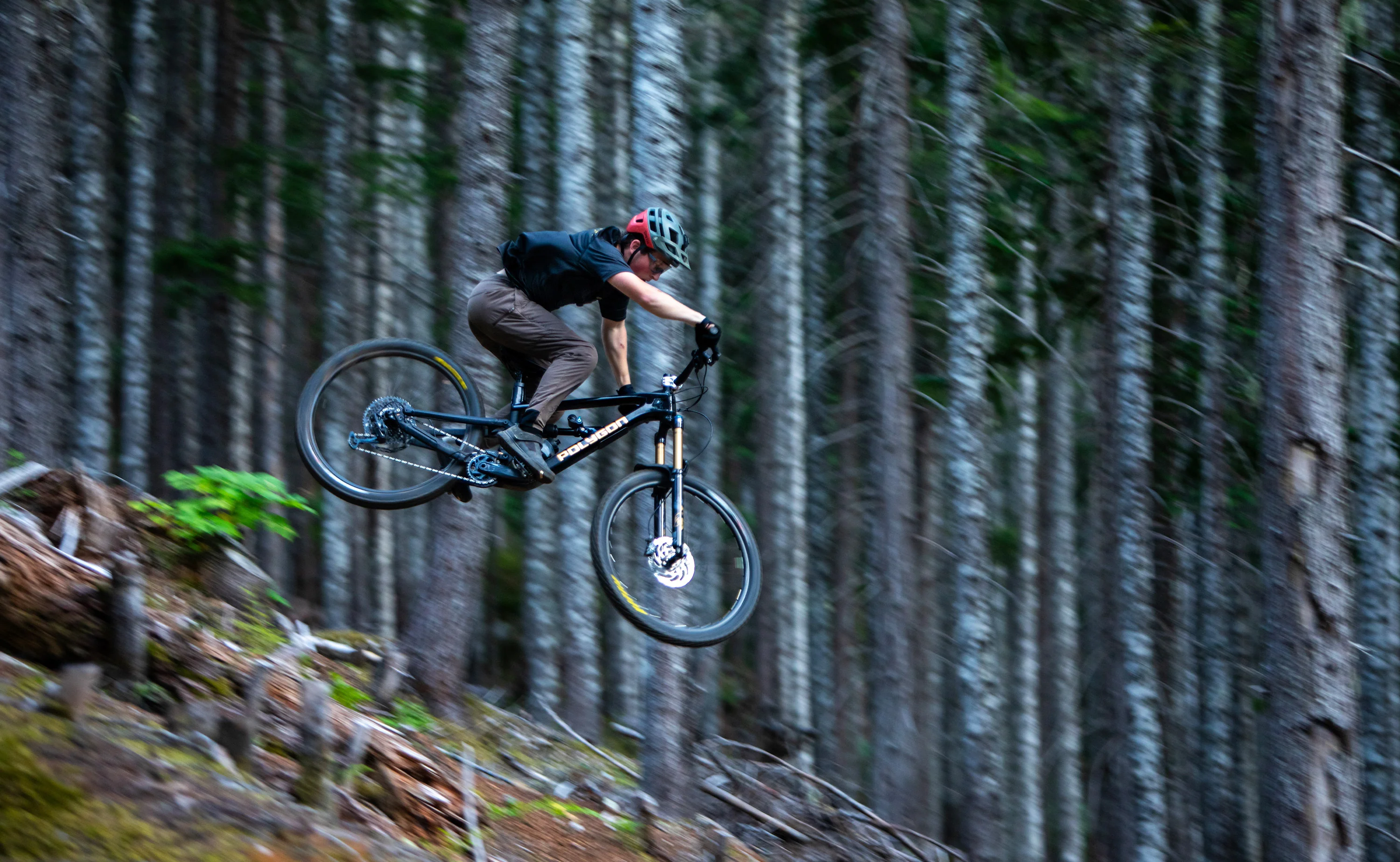 Polygon Collosus N8 Carbon - Enduro Mountain Bike - Image 25