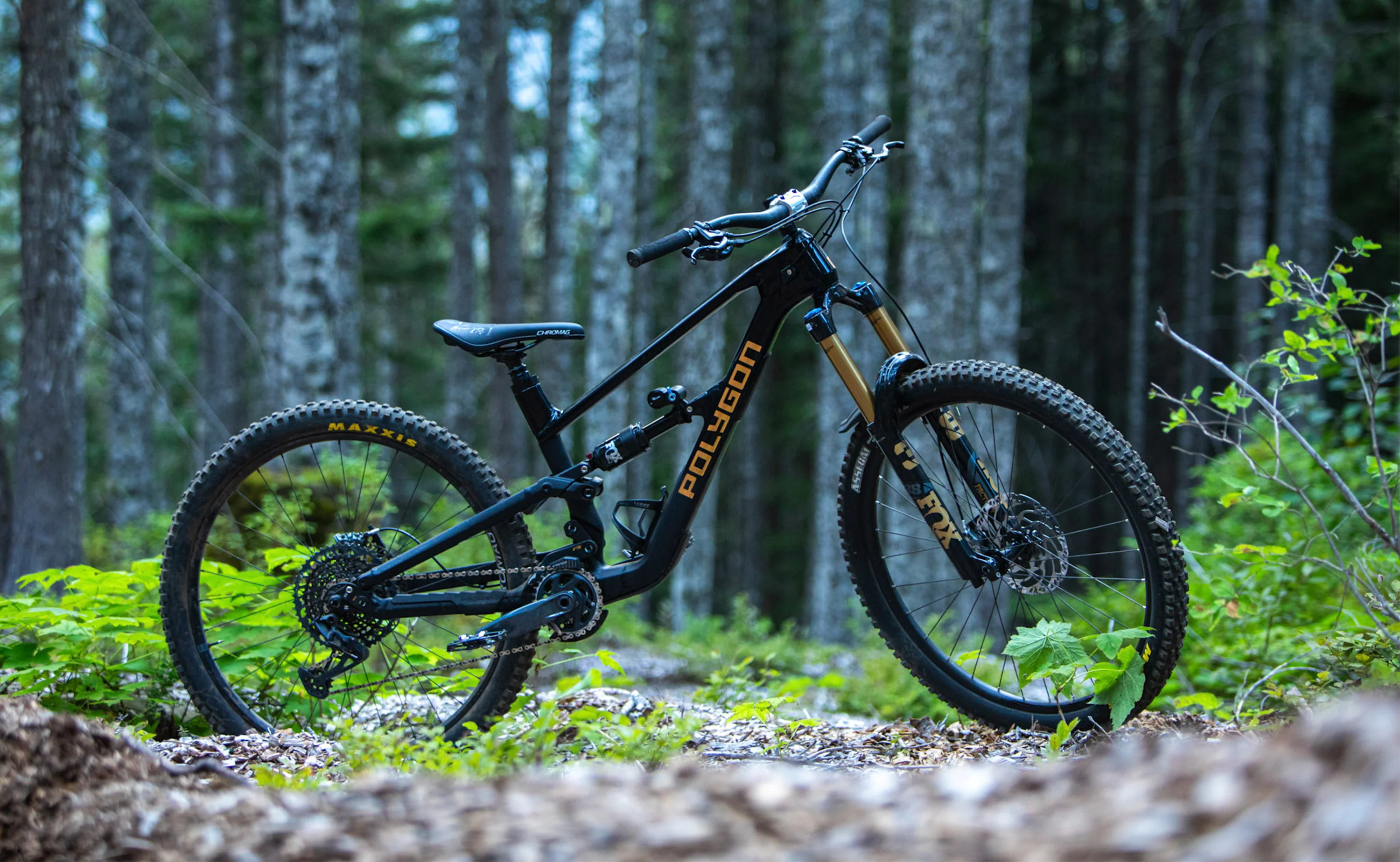 Polygon Collosus N8 Carbon - Enduro Mountain Bike - Image 3