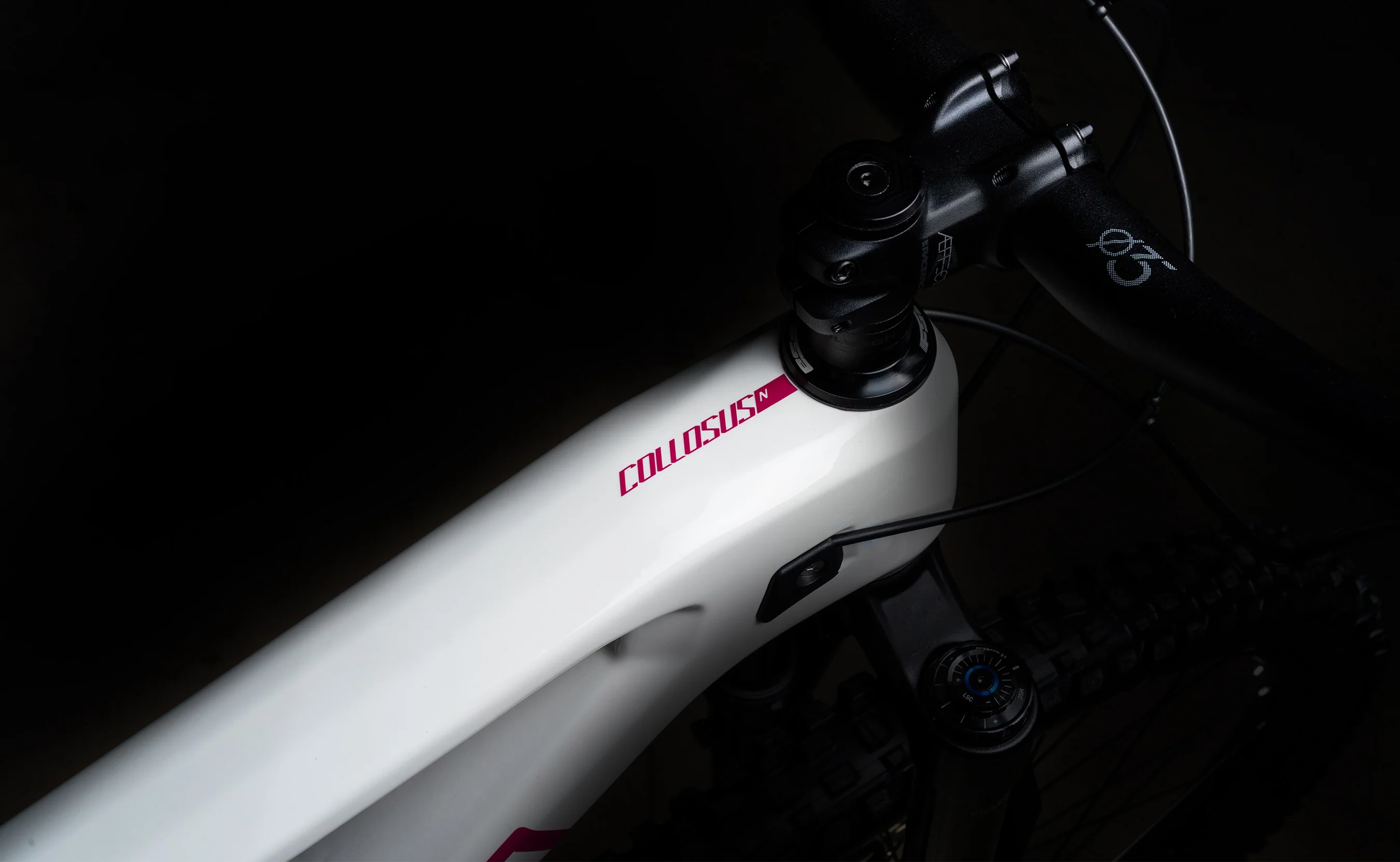 Polygon Collosus N9 Carbon - Enduro Mountain Bike - Image 12
