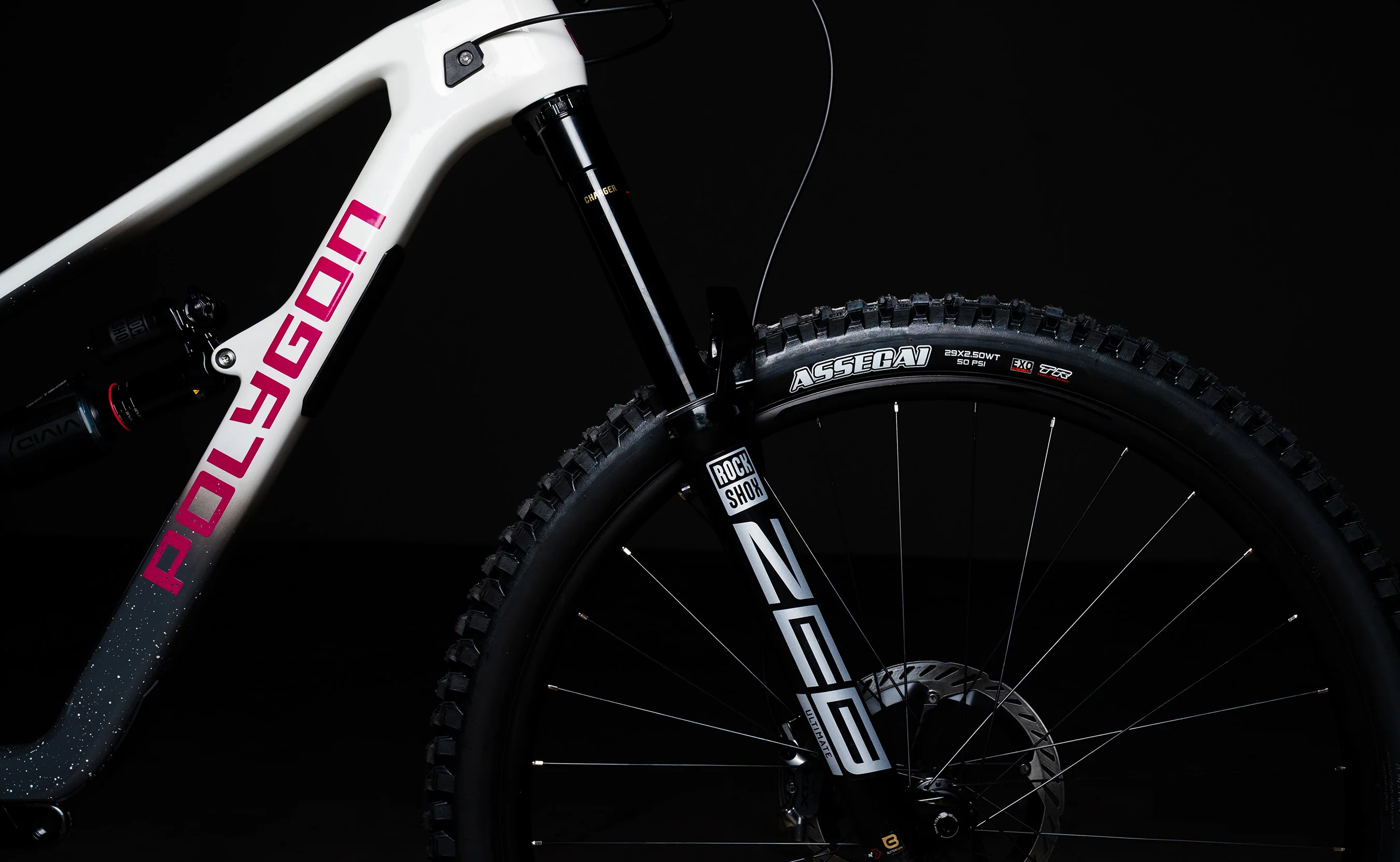 Polygon Collosus N9 Carbon - Enduro Mountain Bike - Image 6