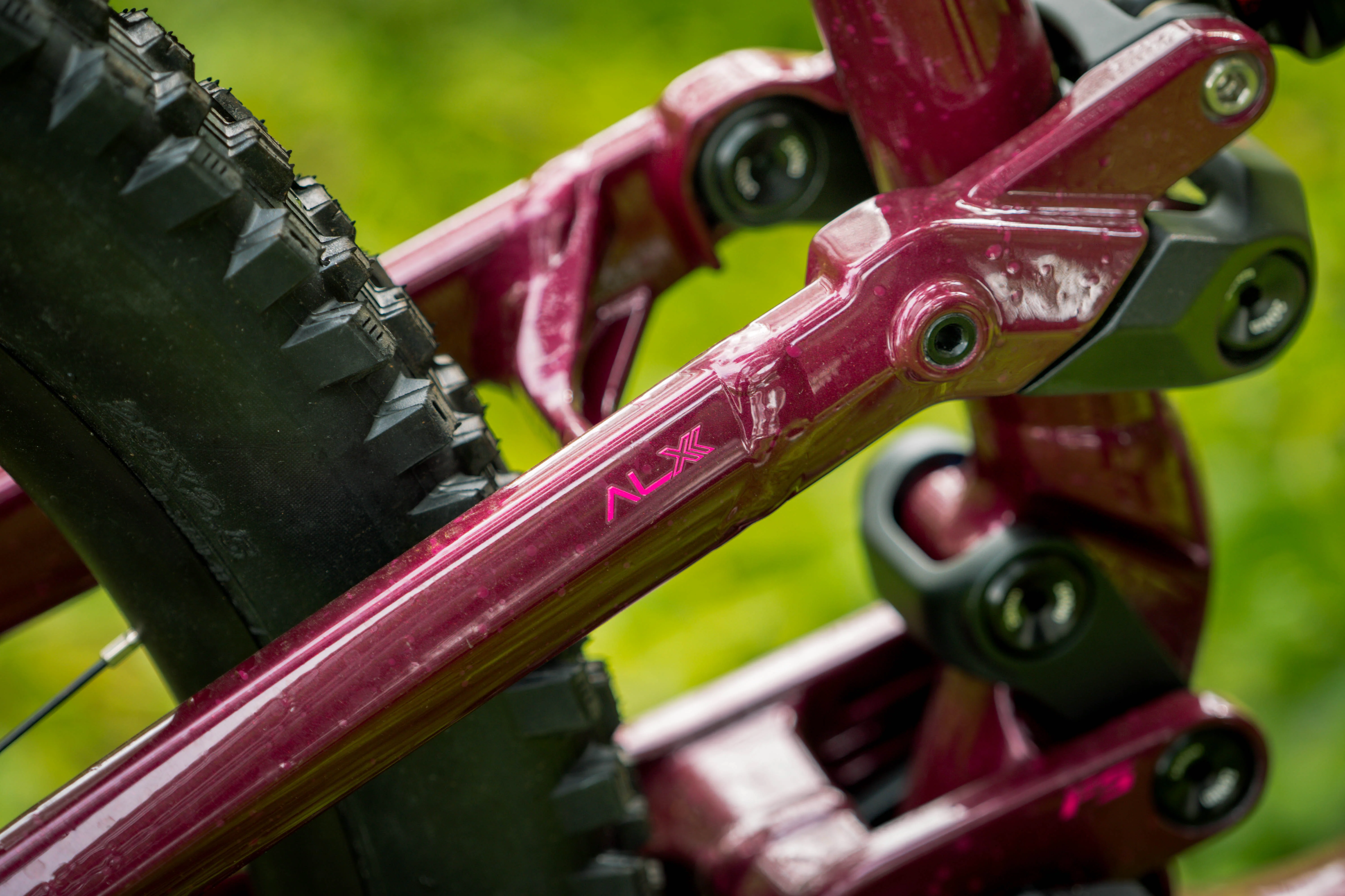 Polygon Collosus N9 - Enduro Mountain Bike - Image 13