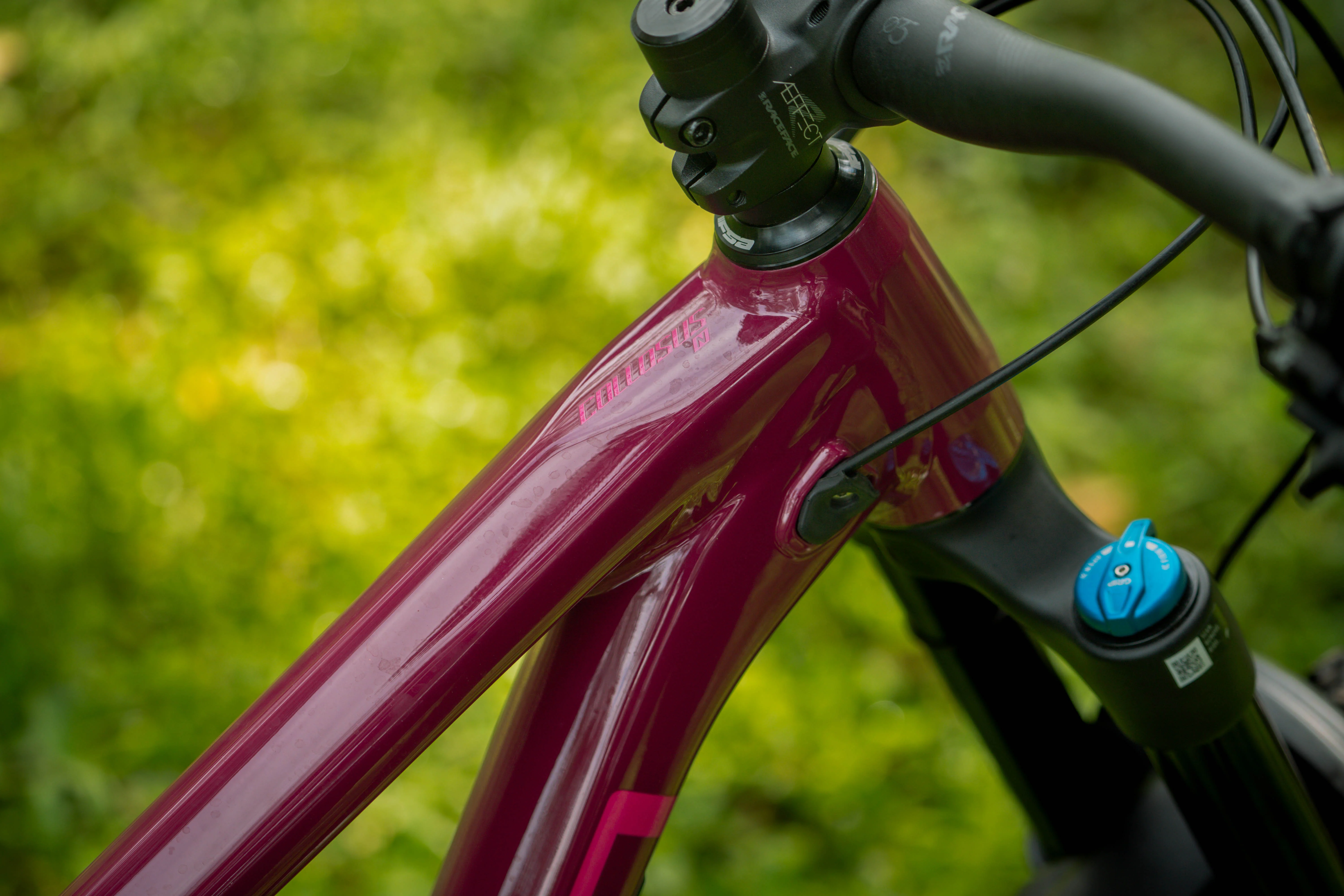 Polygon Collosus N9 - Enduro Mountain Bike - Image 14