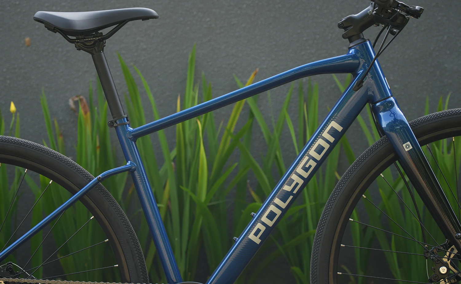 Polygon Path 2 - Urban City Bike - Image 10