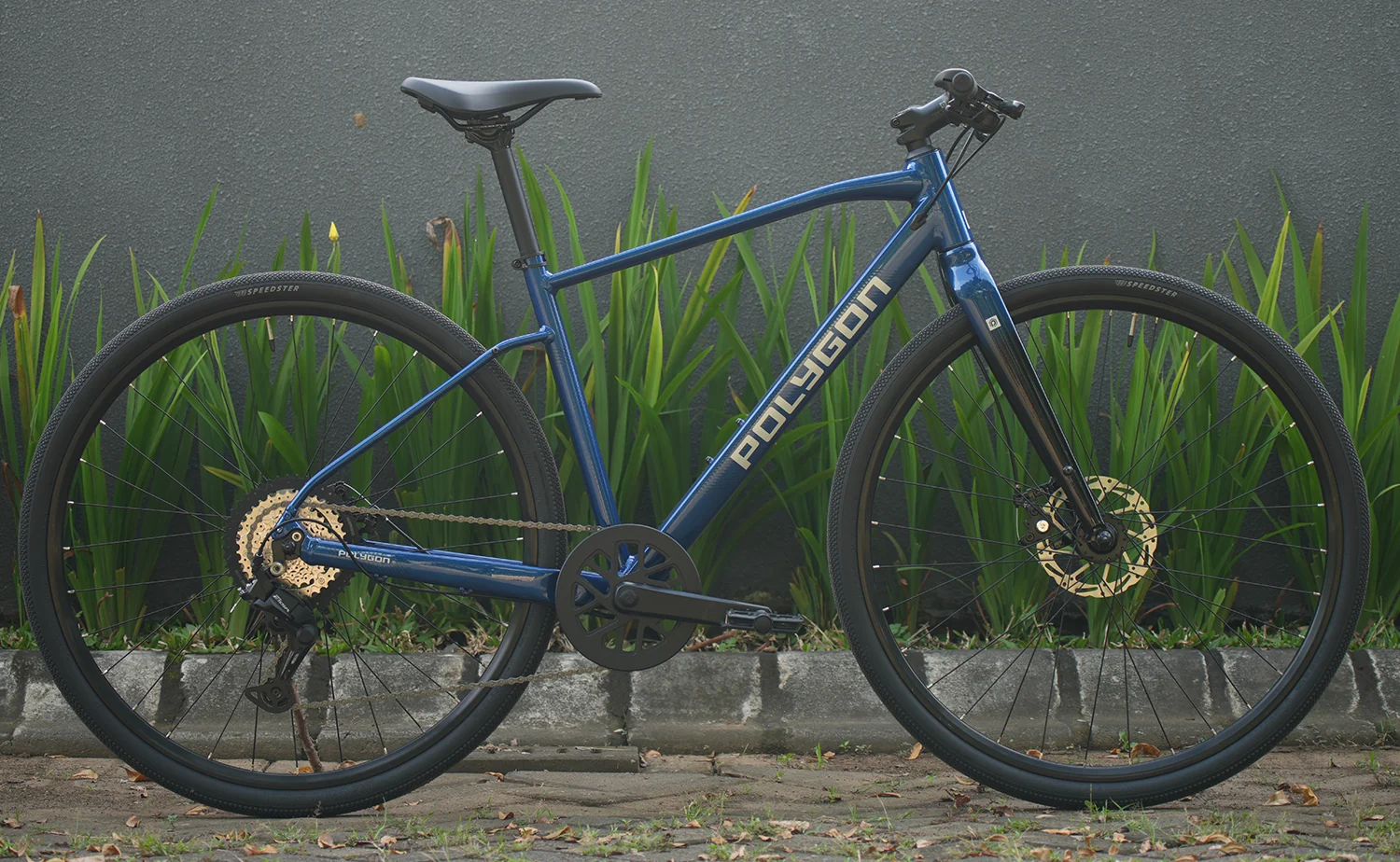 Polygon Path 2 - Urban City Bike - Image 5