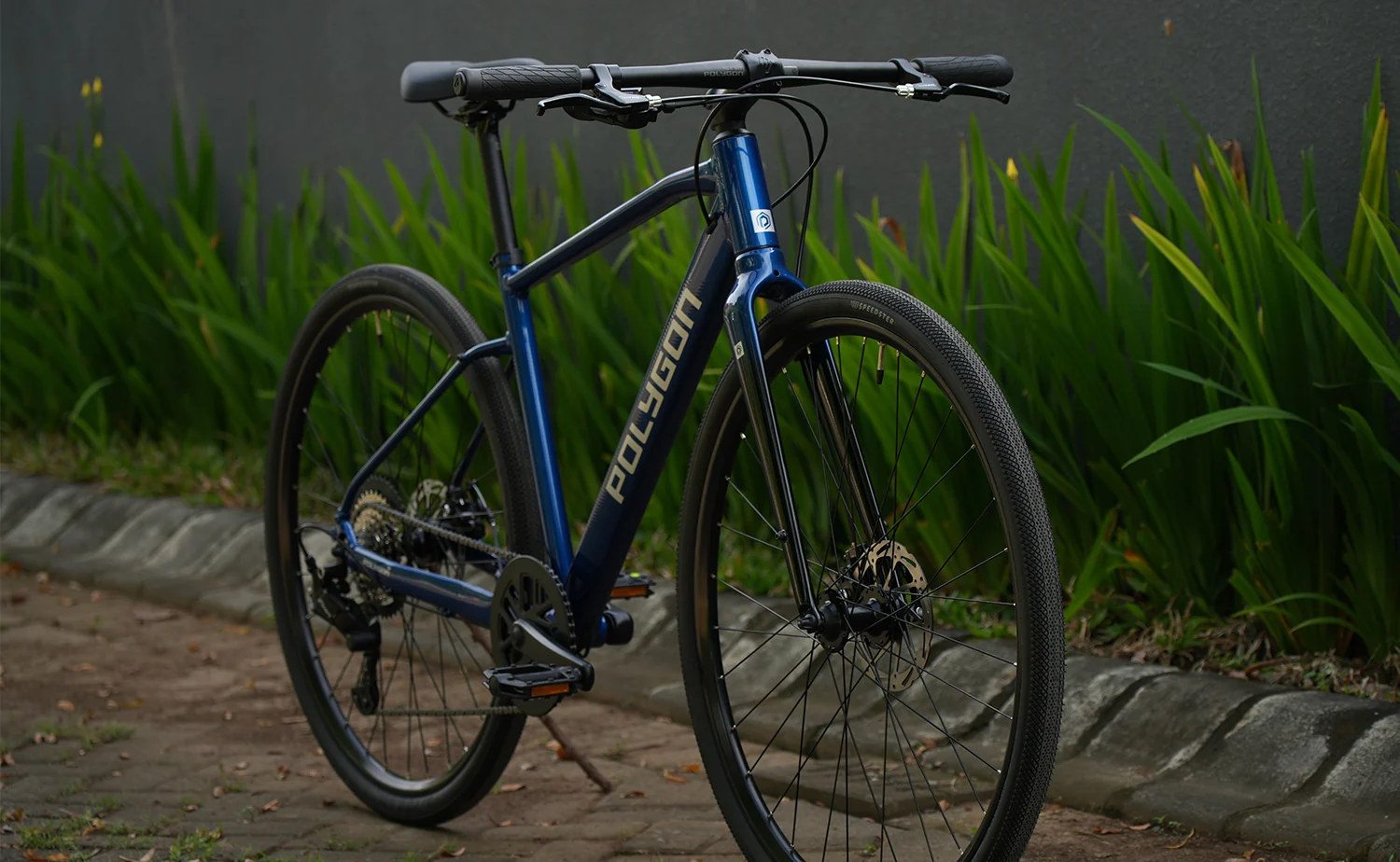 Polygon Path 2 - Urban City Bike - Image 6
