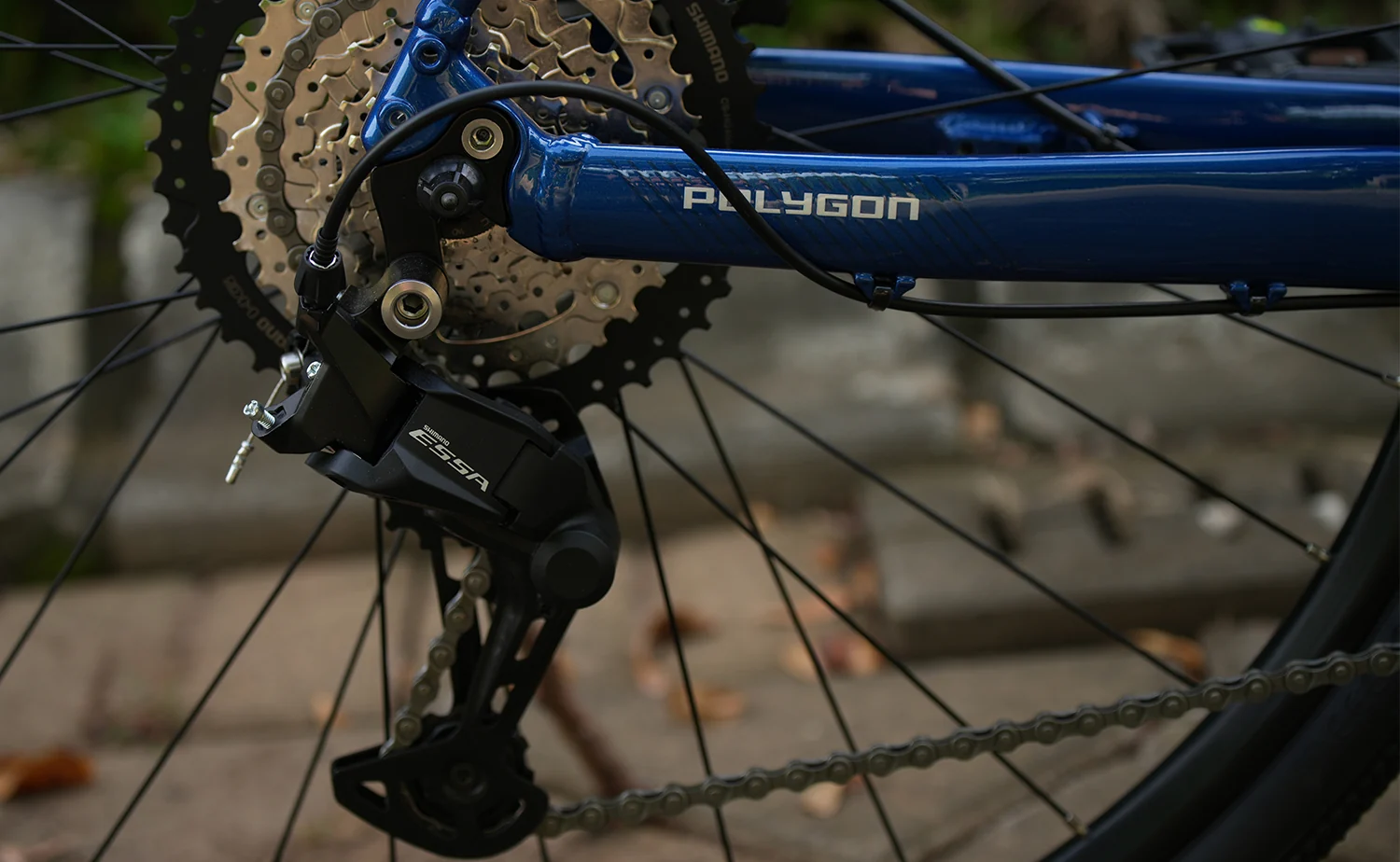 Polygon Path 2 - Urban City Bike - Image 8