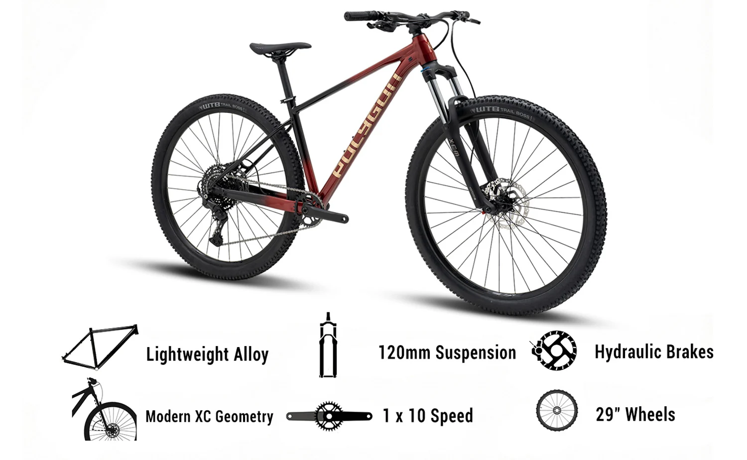 Polygon Xtrada 5 - Mountain Bike [New] - Image 2