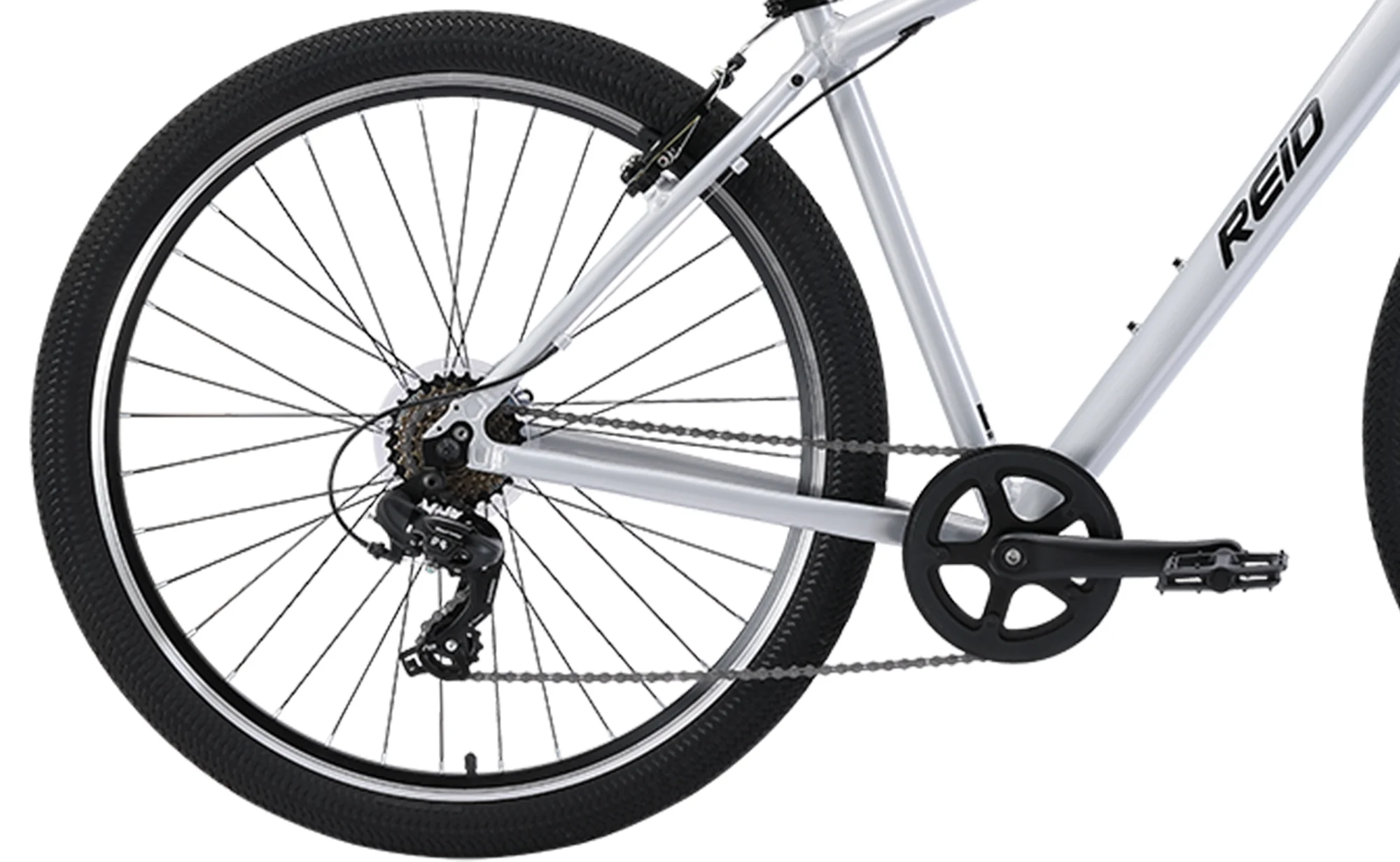 Reid - Comfort 1 Beach Cruiser - Image 4
