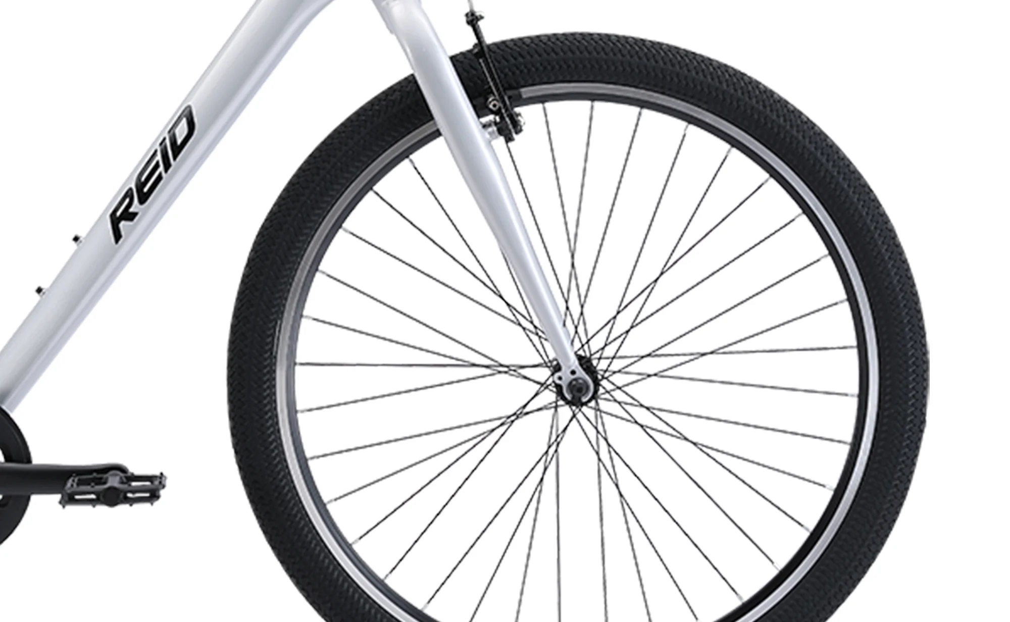 Reid - Comfort 1 Beach Cruiser - Image 8