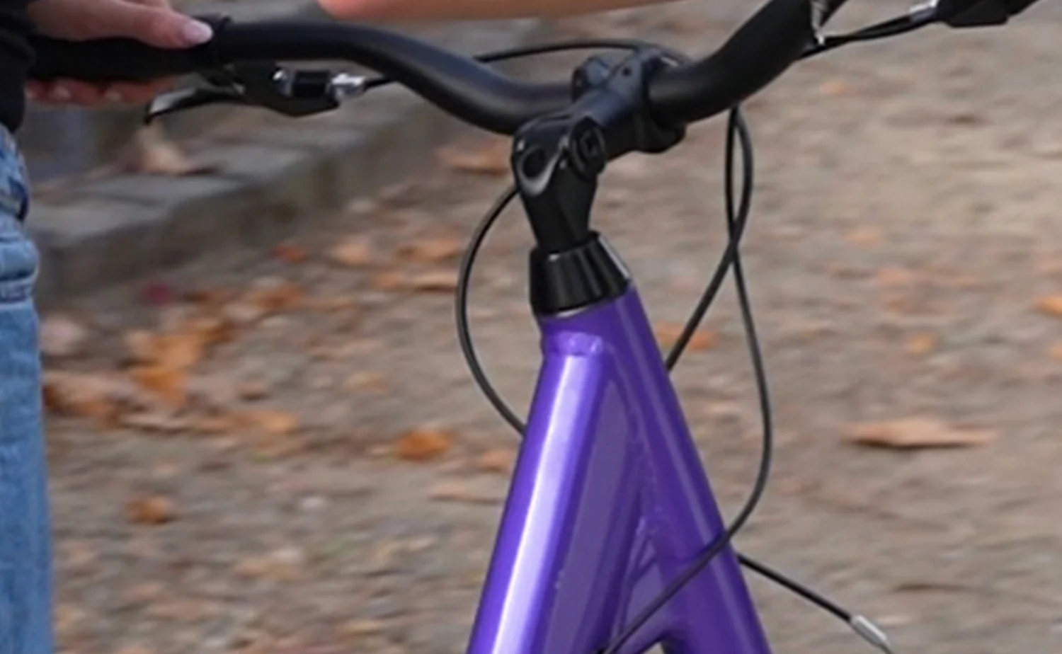 Reid - Comfort 1 ST Beach Cruiser - Image 10