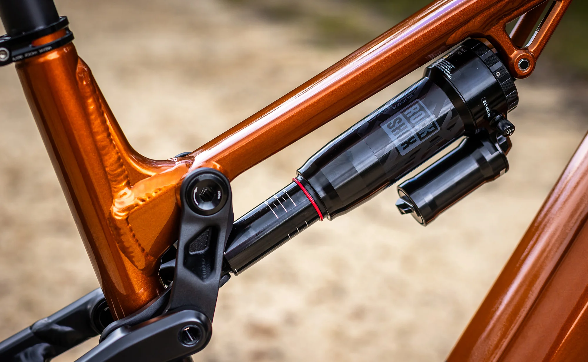 Superior eXF 9019 B -  Bosch Performance CX Mountain eBike - Image 5
